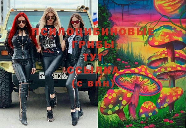 соль ск Аркадак