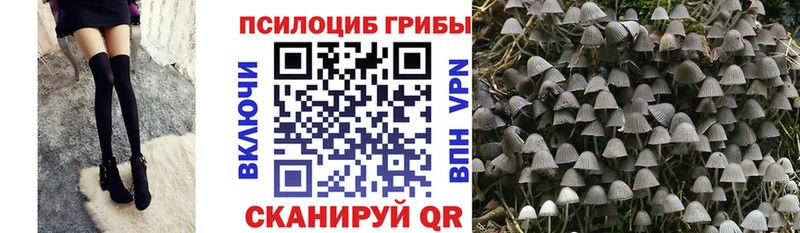 Галлюциногенные грибы прущие грибы  где можно купить   Мурманск 